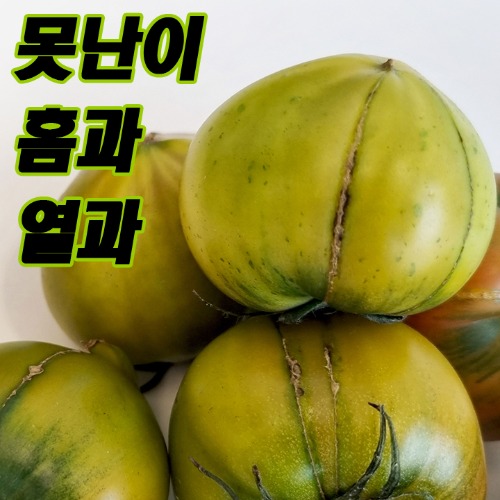 대저 토마토 2.5kg (S~L/ 가정용)